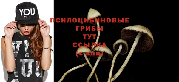 крисы Арсеньев