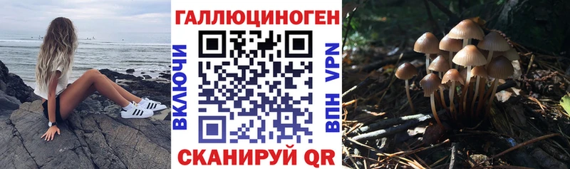 Галлюциногенные грибы Psilocybine cubensis  Спасск-Дальний 